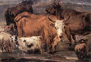 BERCHEM, Nicolaes, Animal Study dd